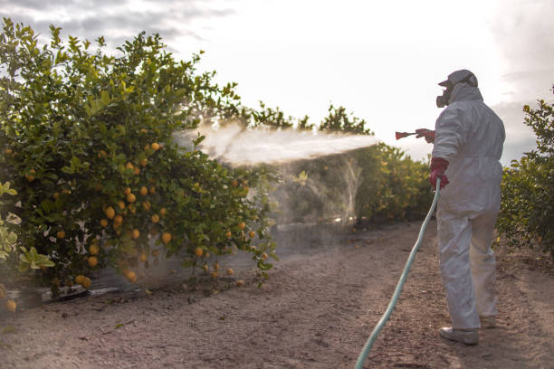 Wildlife Control Services in Towaco, NJ